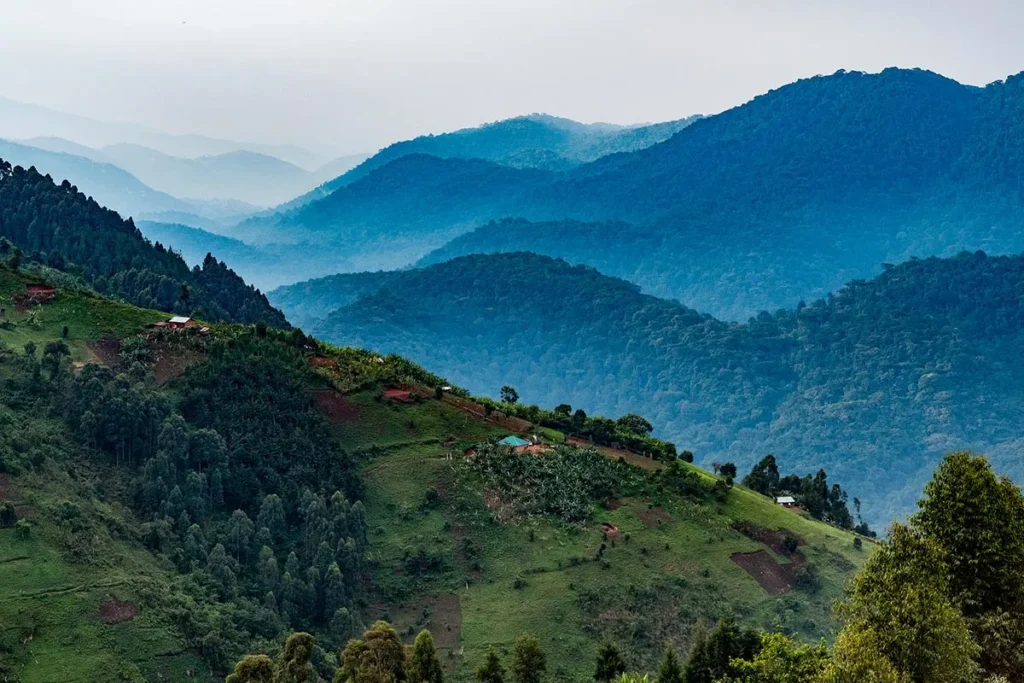 bwindi-impenetrable-uganda-treks