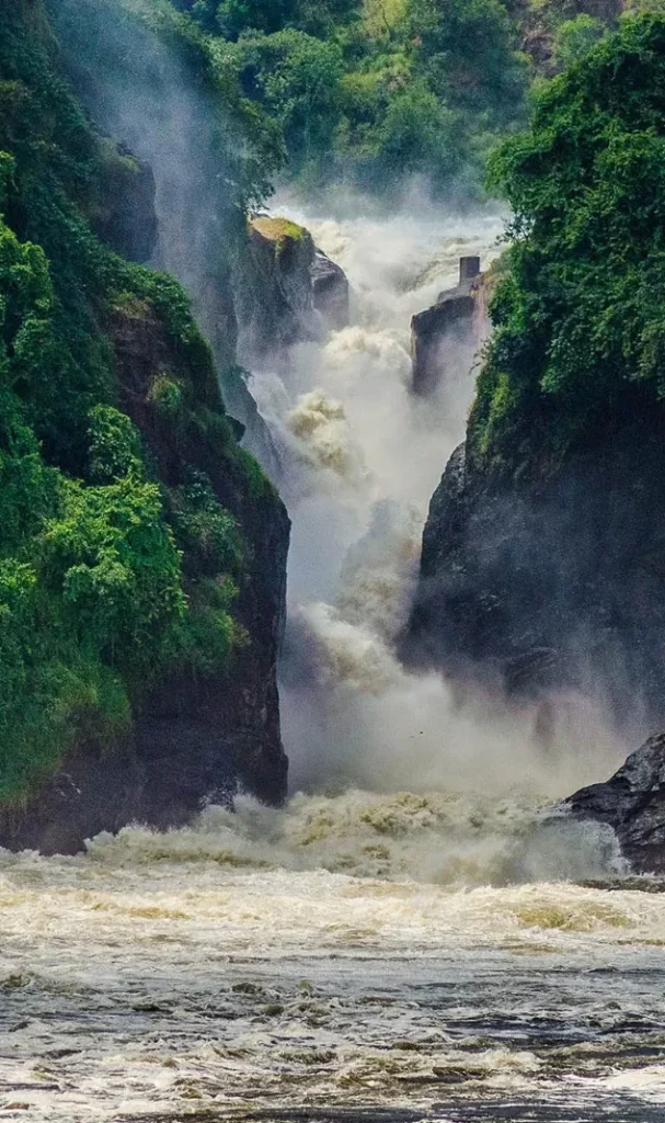 murchison-falls